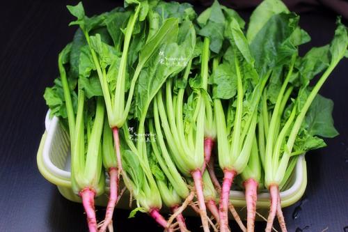 关于菠菜的食用我们上海油压按摩为您详细解答